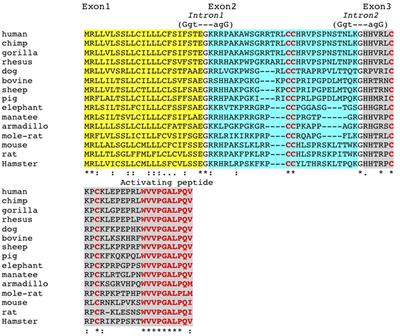 A Mucosal and Cutaneous Chemokine Ligand for the Lymphocyte Chemoattractant Receptor GPR15